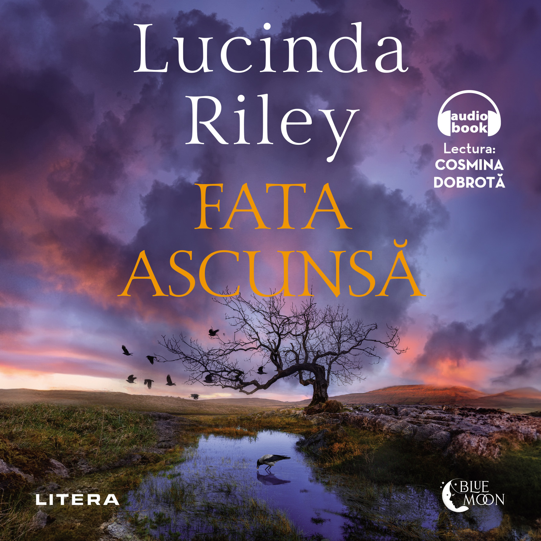 Fata ascunsa, Audiobook fotografia produsului