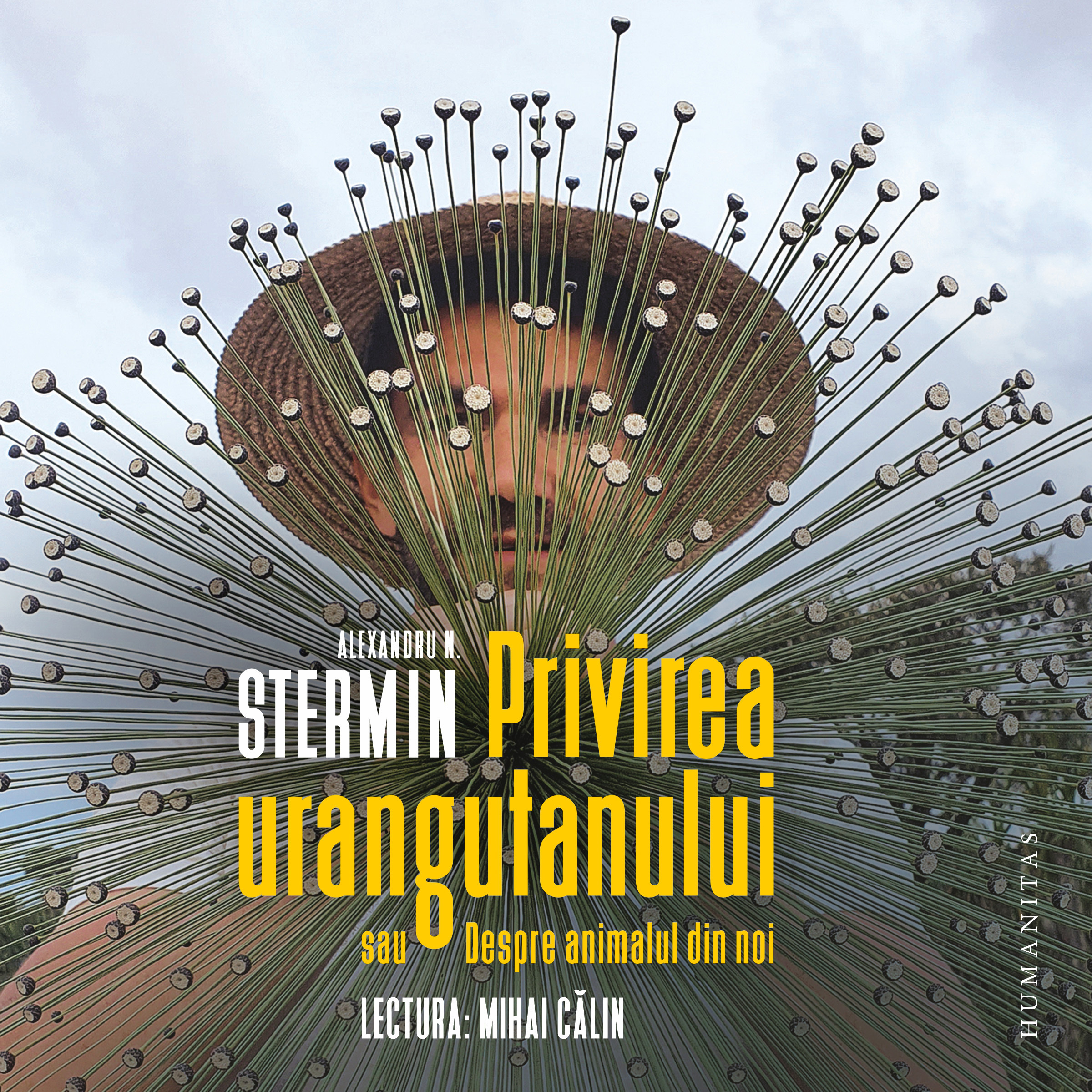 Privirea urangutanului, Audiobook fotografia produsului