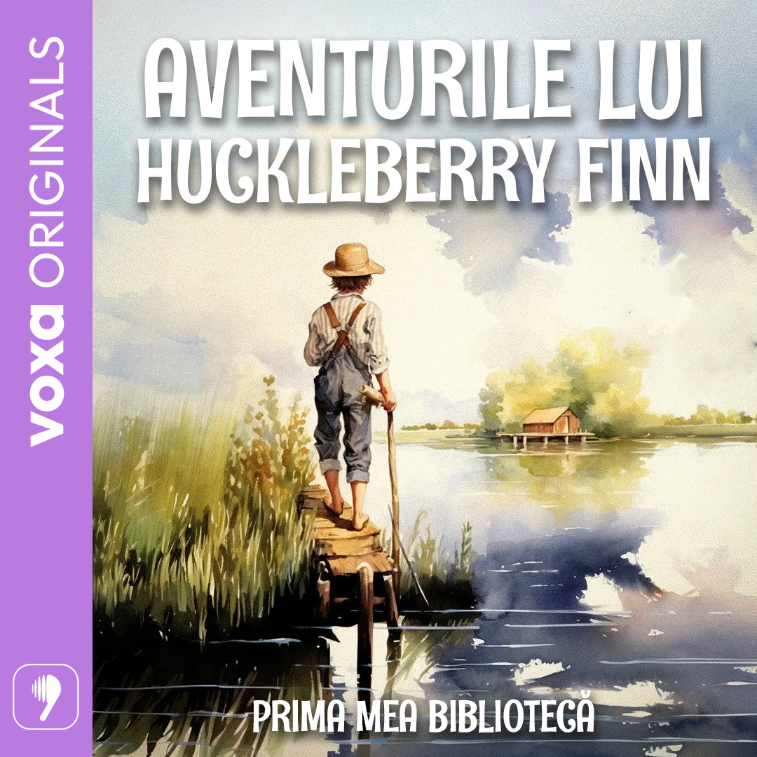 Aventurile lui Huckleberry Finn, Audiobook фото продукта