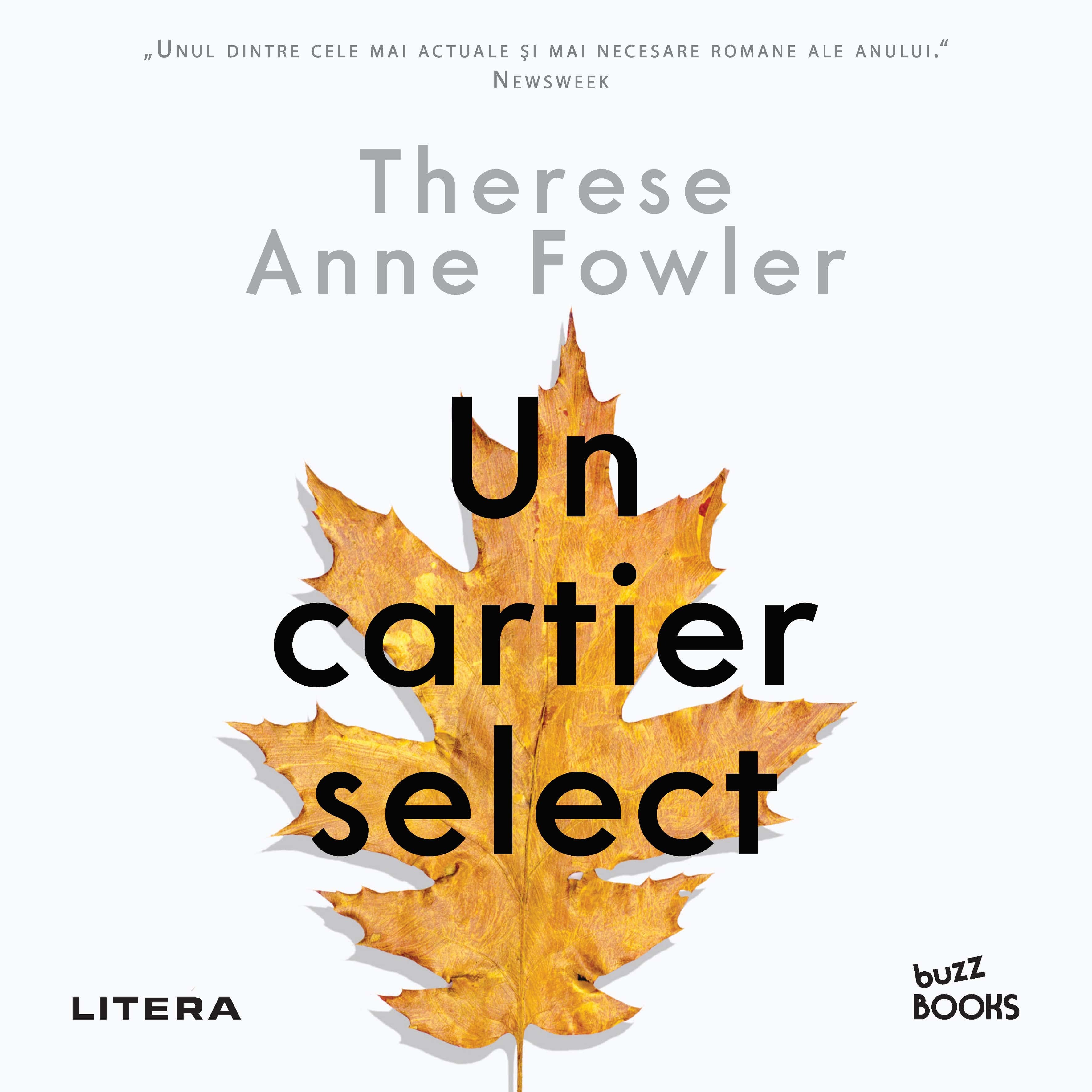 Un cartier select (audiobook), Audiobook fotografia produsului