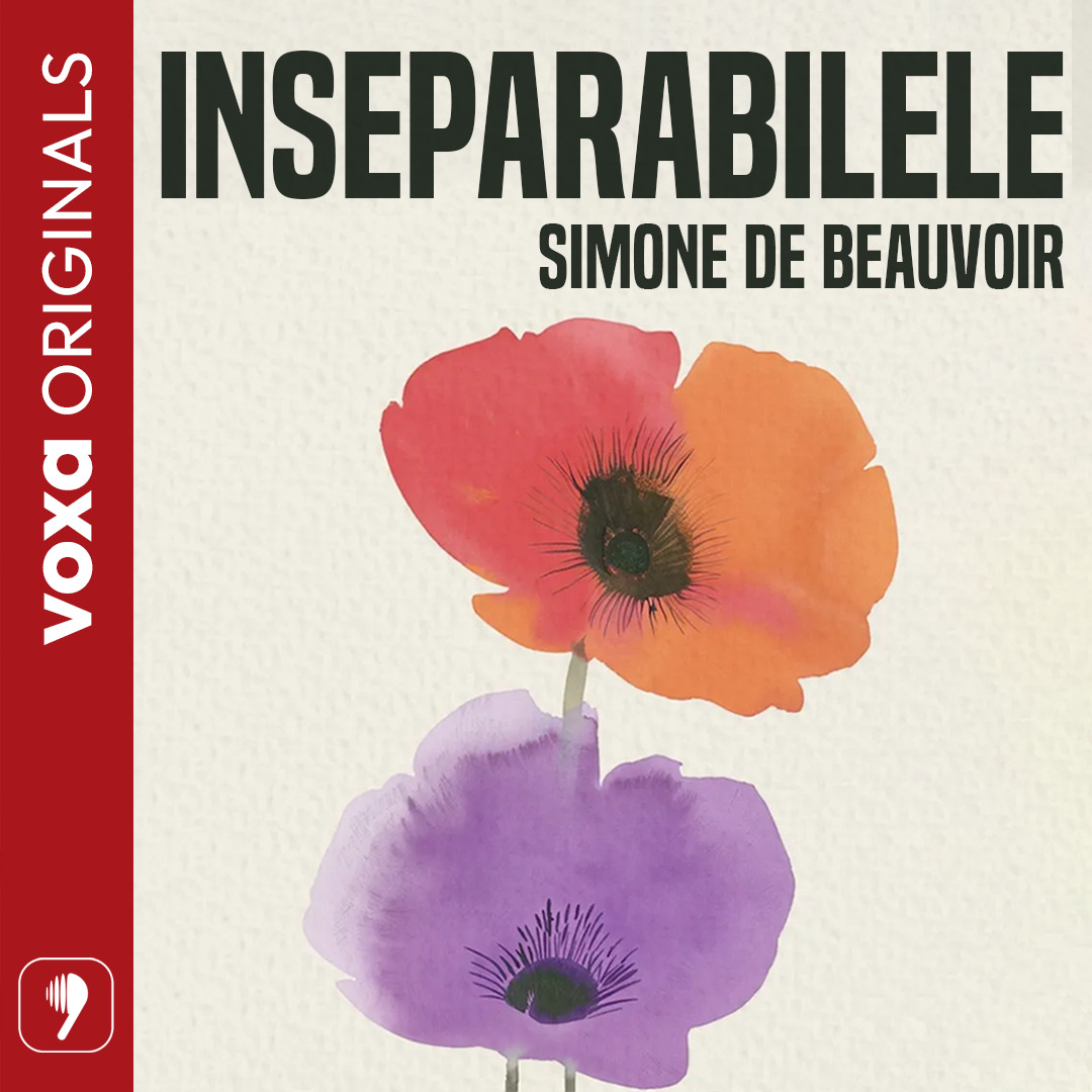 Inseparabilele, Audiobook фото продукта