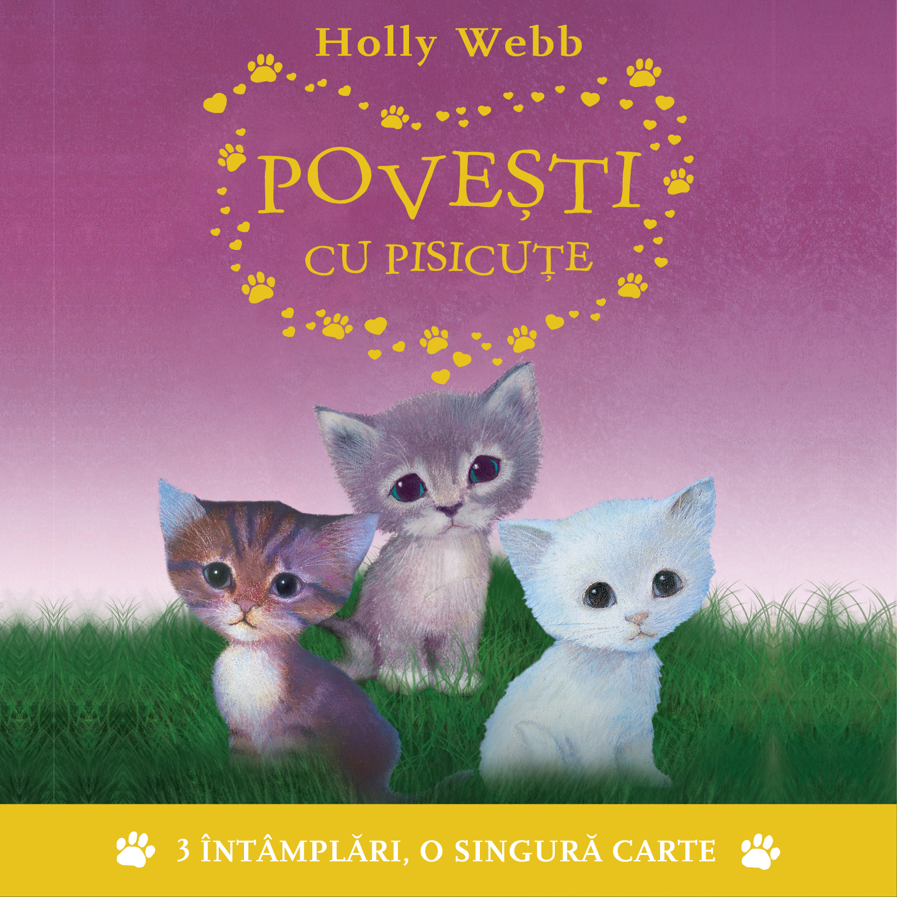 Pisicuta perfecta, Audiobook fotografia produsului