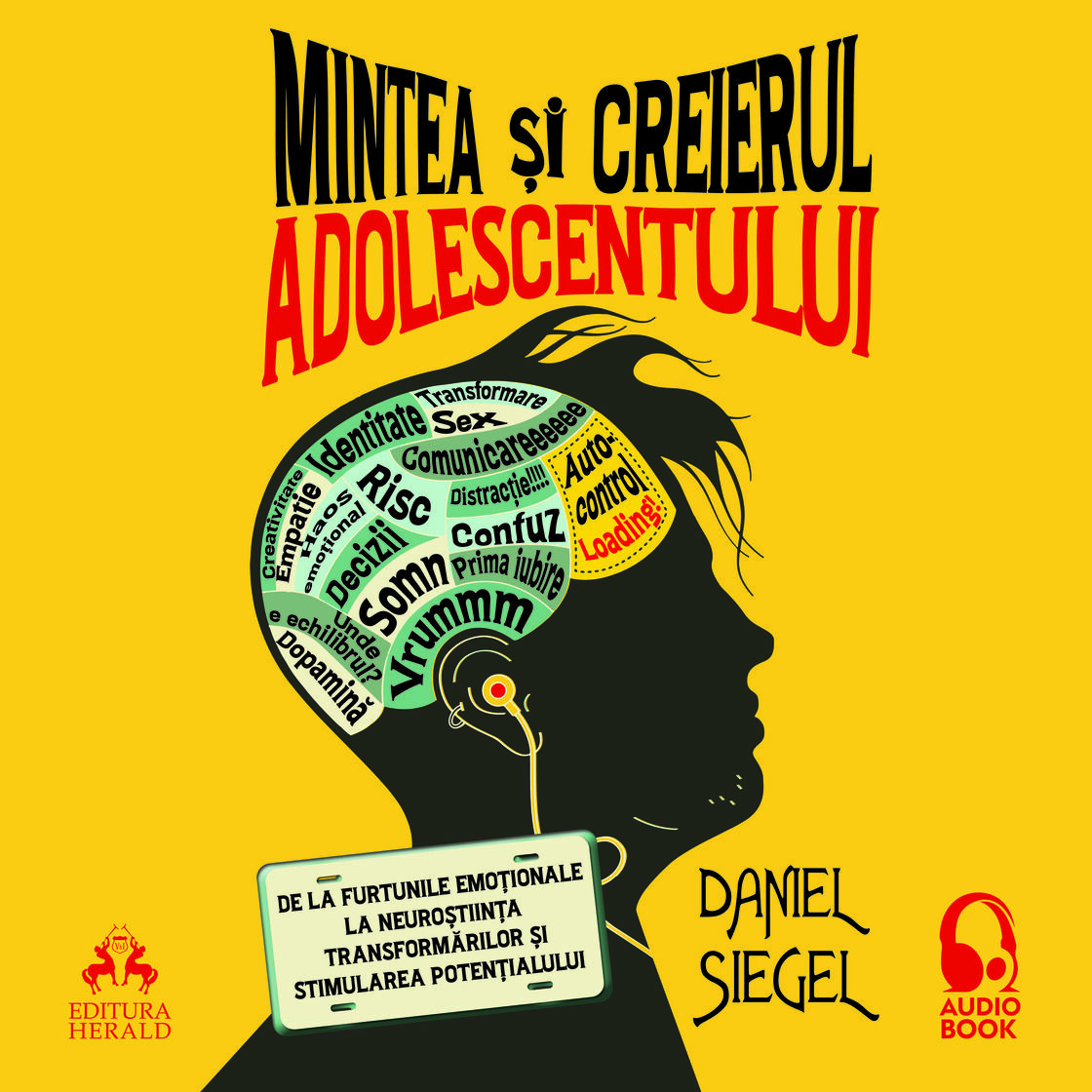 Audiobook Mintea și creierul adolescentului - De la furtunile
