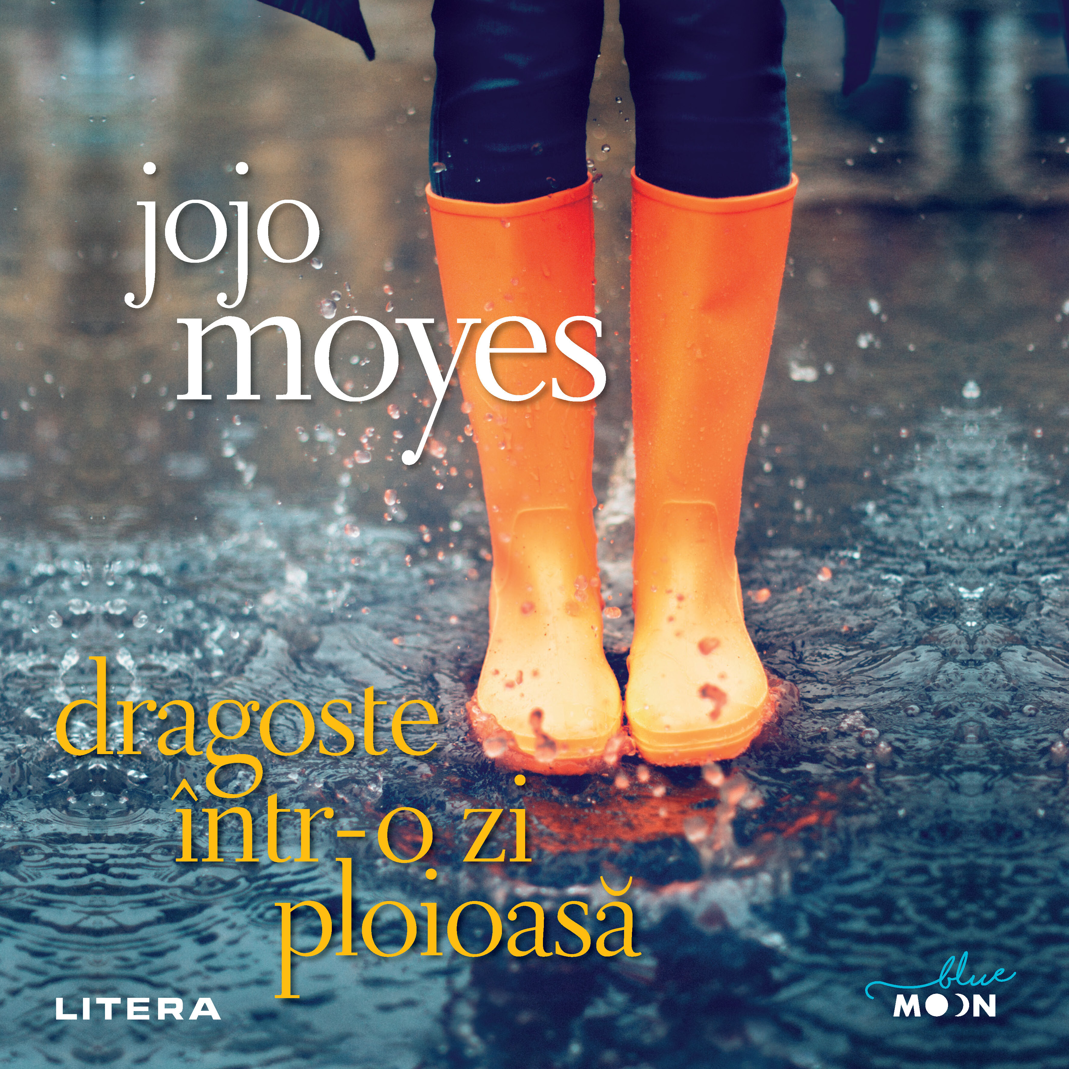 Dragoste intr-o zi ploioasa (audiobook), Audiobook фото продукта
