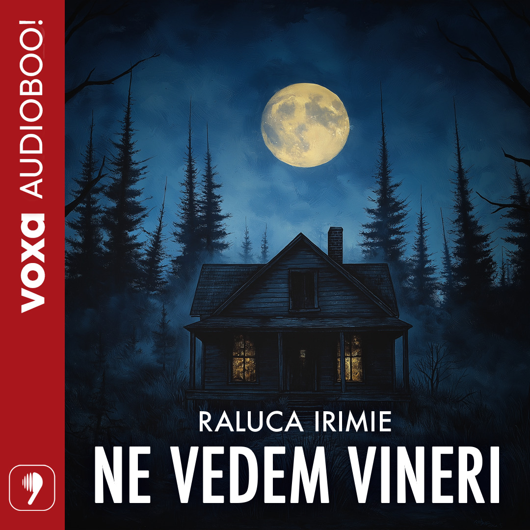 Ne vedem vineri (Audioboo), Audiobook фото продукта