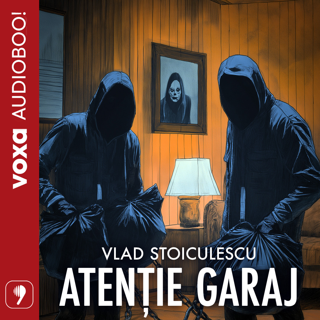 Atentie, garaj! (Audioboo), Audiobook фото продукта