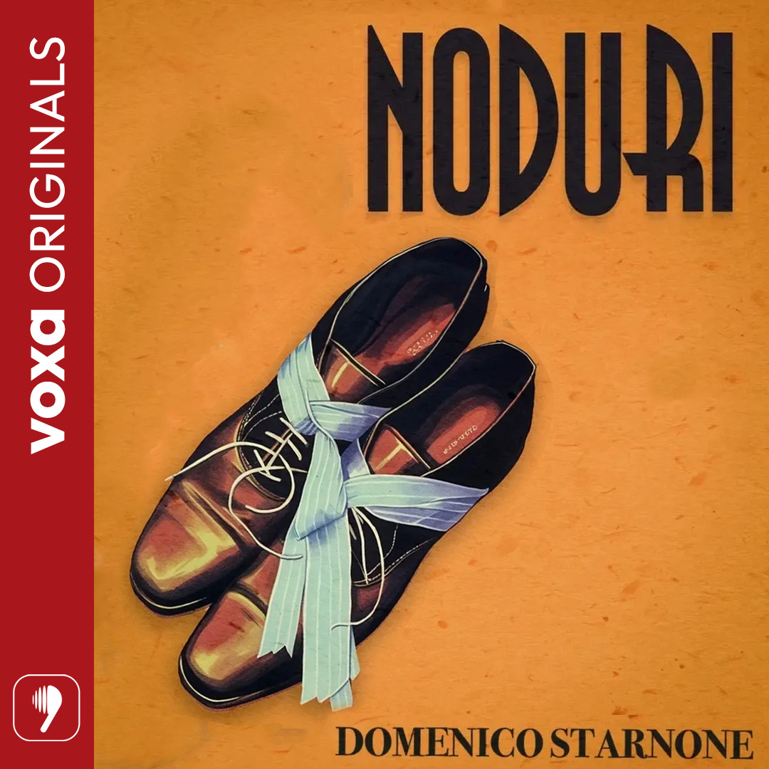 Noduri, Audiobook фото продукта
