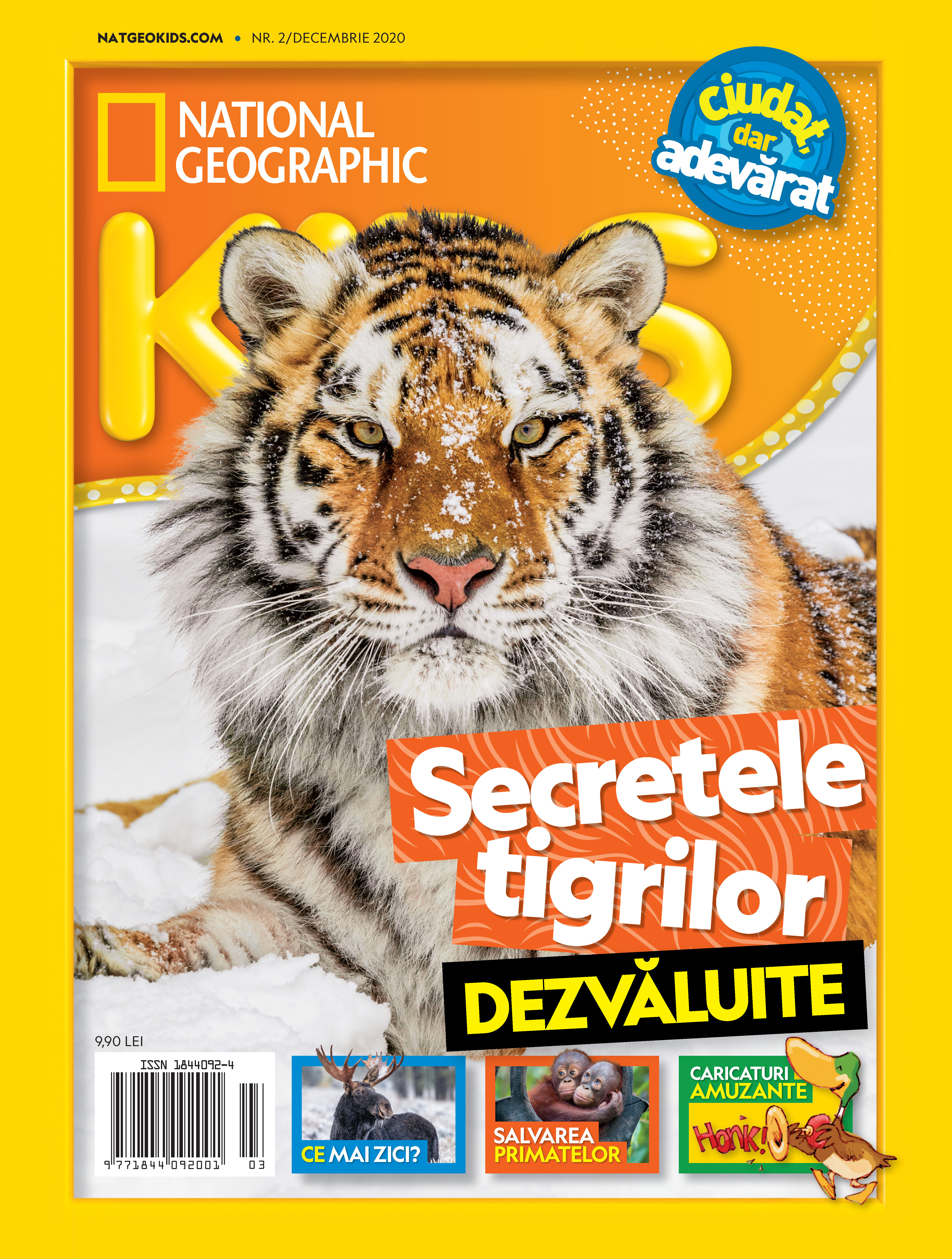 SECRETELE TIGRILOR DEZVALUITE (Revista NG Kids 2 / decembrie 2020), eBook fotografia produsului