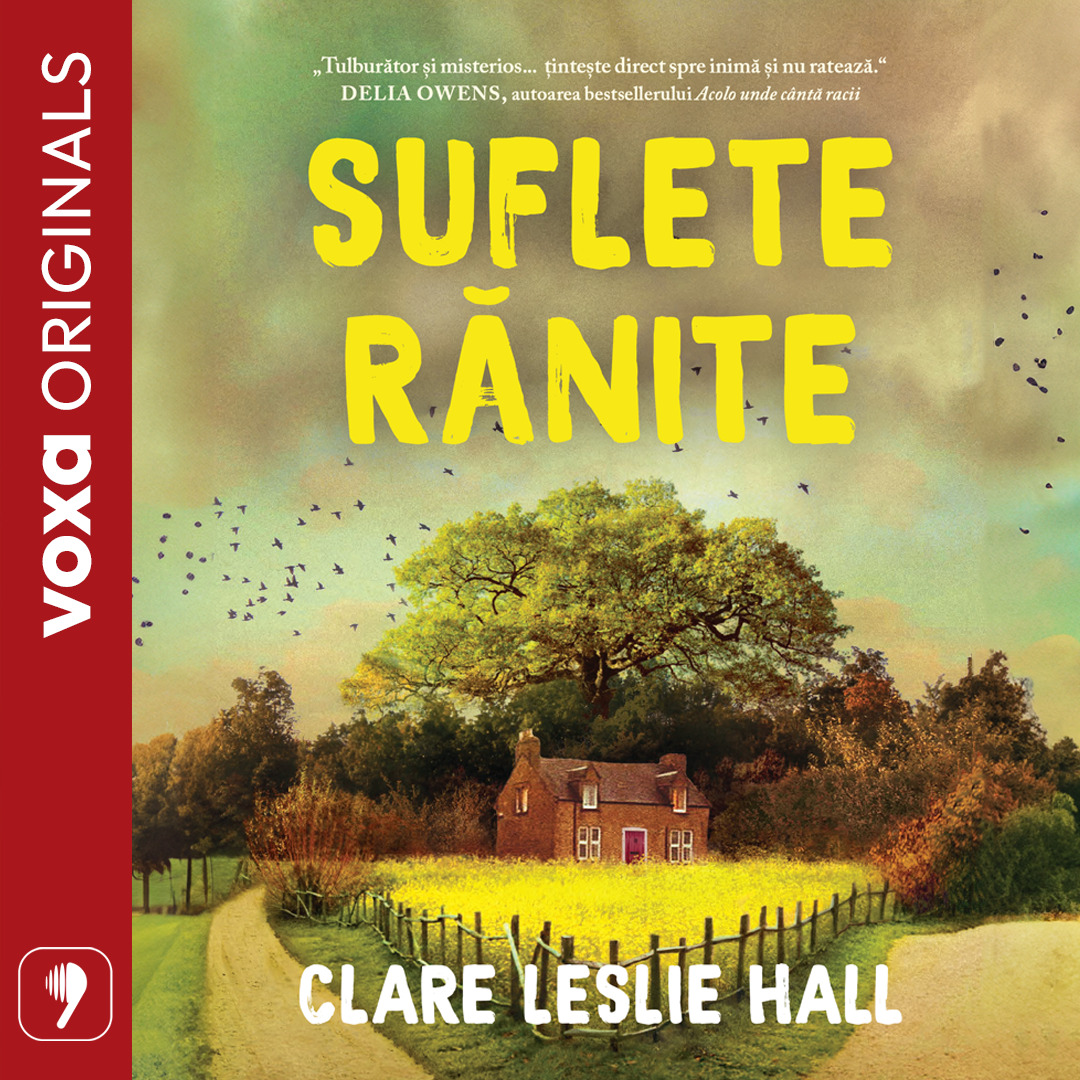 Suflete ranite, Audiobook фото продукта