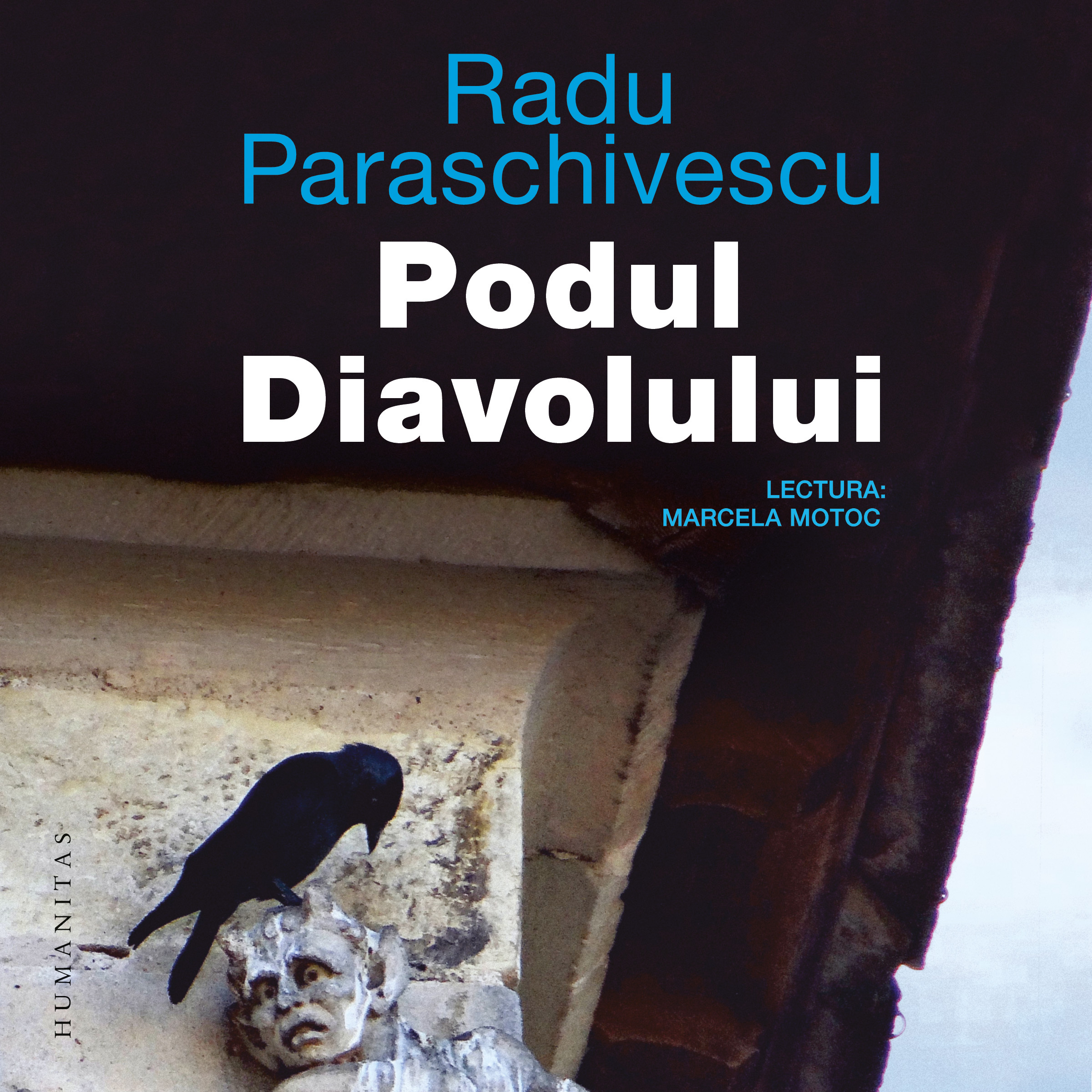 Podul Diavolului, Audiobook фото продукта