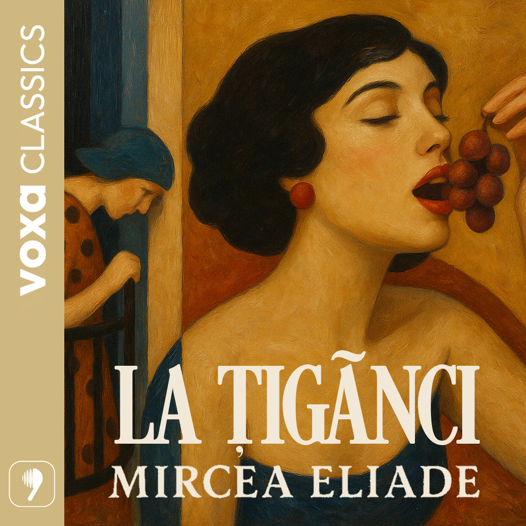 La tiganci, Audiobook fotografia produsului