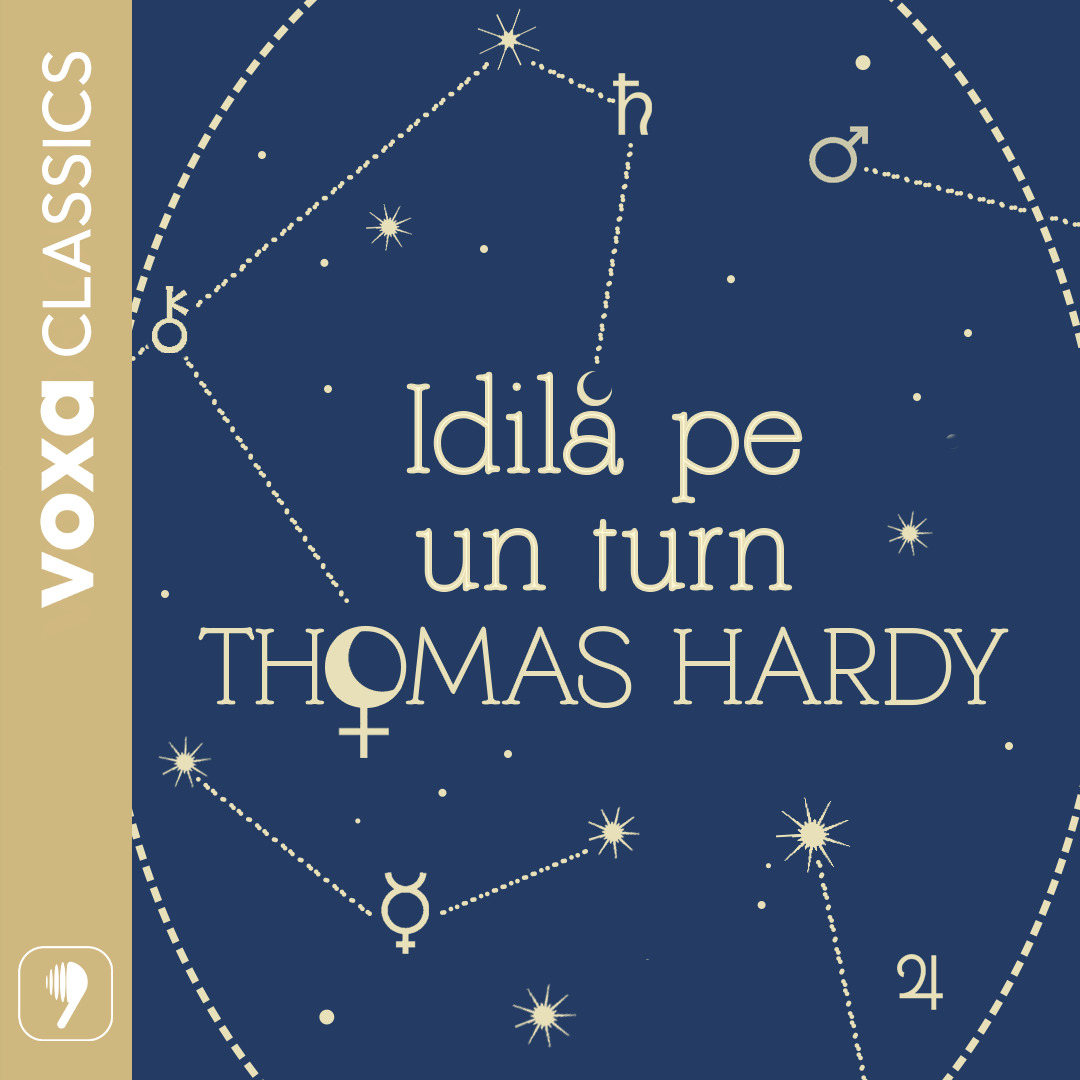 Idila pe un turn, Audiobook фото продукта