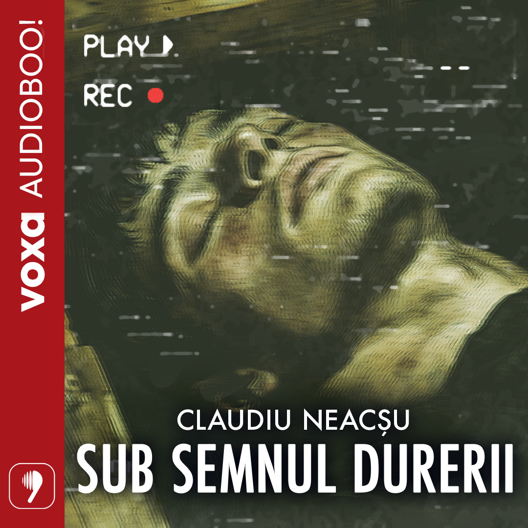 Sub semnul durerii (Audioboo), Audiobook фото продукта