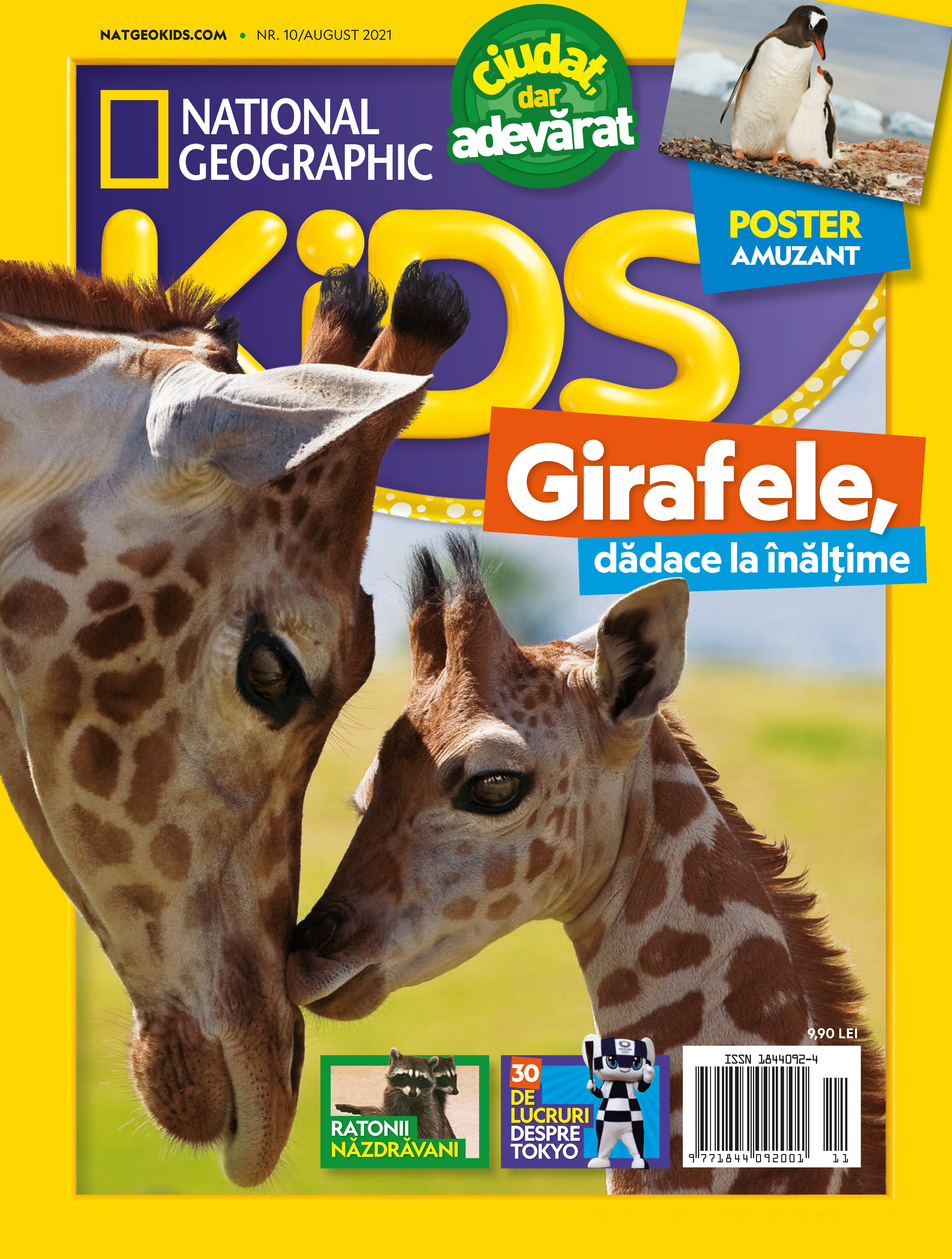 Girafele, dadace la inaltime (Revista NG Kids 10 / august 2021), eBook fotografia produsului